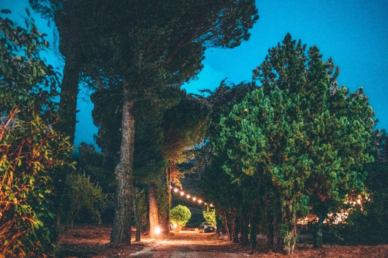 Villa Ada B&B San Gregorio Magno Dış mekan fotoğraf
